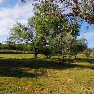  Campingplatz S&m